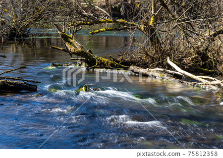 Beautiful hiking trail in Wuermtal, Gauting near Starnberg, Bavaria, Germany 75812358