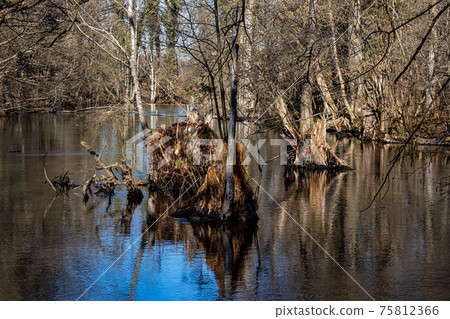 Beautiful hiking trail in Wuermtal, Gauting near Starnberg, Bavaria, Germany Beautiful hiking trail in Wuermtal, Gauting near Starnberg, Bavaria, Germany 75812366