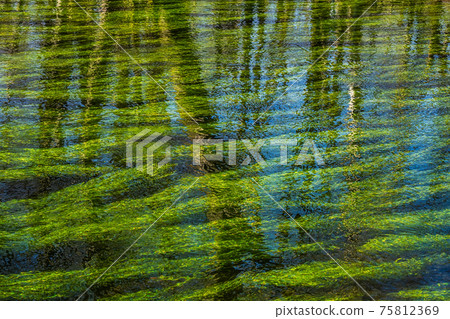 Beautiful hiking trail in Wuermtal, Gauting near Starnberg, Bavaria, Germany 75812369