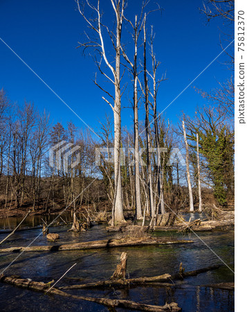 Beautiful hiking trail in Wuermtal, Gauting near Starnberg, Bavaria, Germany Beautiful hiking trail in Wuermtal, Gauting near Starnberg, Bavaria, Germany 75812370