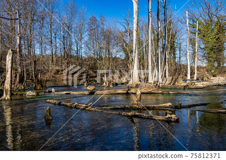 Beautiful hiking trail in Wuermtal, Gauting near Starnberg, Bavaria, Germany Beautiful hiking trail in Wuermtal, Gauting near Starnberg, Bavaria, Germany 75812371