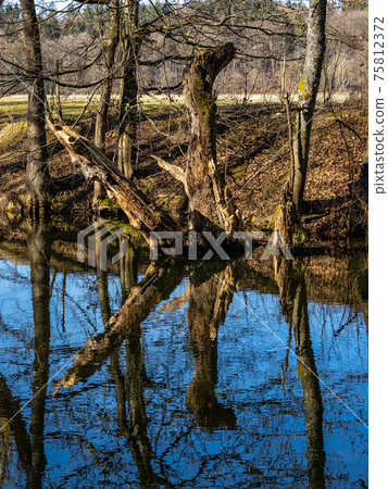 Beautiful hiking trail in Wuermtal, Gauting near Starnberg, Bavaria, Germany 75812372
