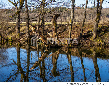 Beautiful hiking trail in Wuermtal, Gauting near Starnberg, Bavaria, Germany Beautiful hiking trail in Wuermtal, Gauting near Starnberg, Bavaria, Germany 75812373