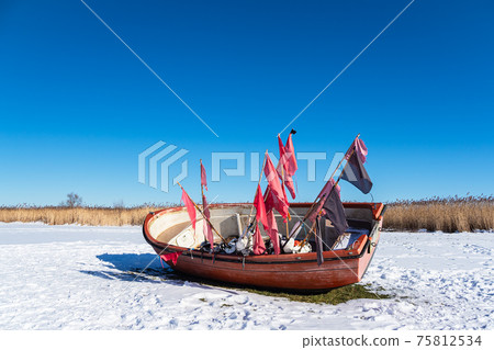 Reeds on the Bodden coast in Althagen, Germany 75812534