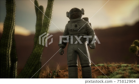 Astronauth in the high desert of Nevada 75812904