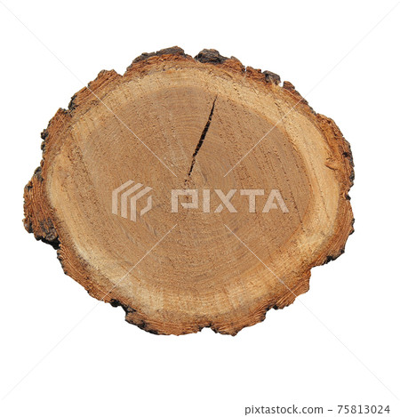 A cut of sawn wood. A piece of wood on a white background. 75813024