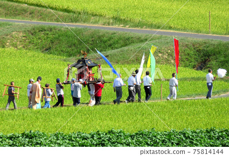 女神巡遊 75814144