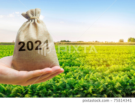 Money bag 2021 in the hands of a farmer and agricultural plantations. Harvesting, profit and budget concept. Investment in farming. Startups. Lending and subsidizing farmers. Harvest results 75814341