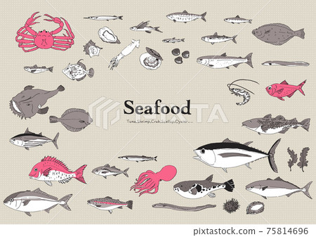 魚圖集手繪 插圖素材 圖庫