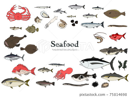 魚圖集手繪 75814698