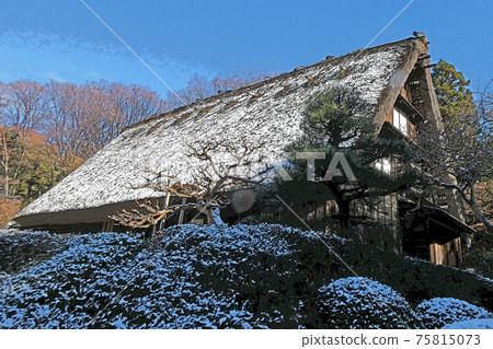東山植物園冬季景觀 東山植物園冬季景觀 75815073