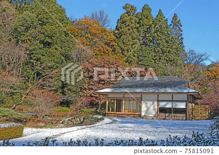 Higashiyama Botanical Garden winter view Higashiyama Botanical Garden winter view 75815091