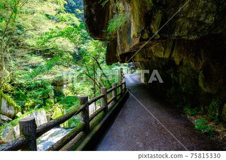 Shosenkyo（夏季） 75815330