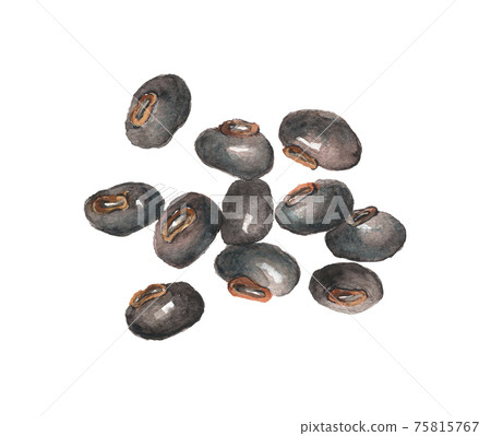 Black mukuna beans, eight-square beans, velvet beans 75815767