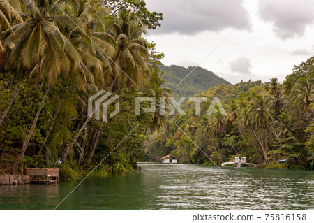 Loboc River Cruise on Bohol Island, Philippines 75816158