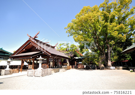 Izuminokuni Ichinomiya Otori Taisha Shrine (Sakai City, Osaka Prefecture) 75816221