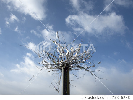 Snow scene Snow scene 75816288