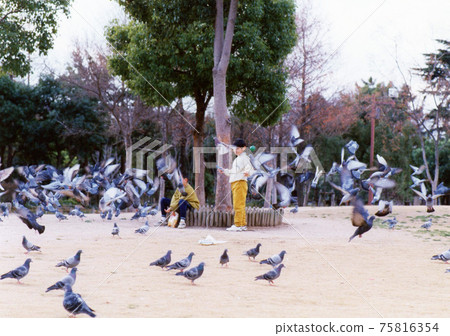 平成168 平成168 75816354