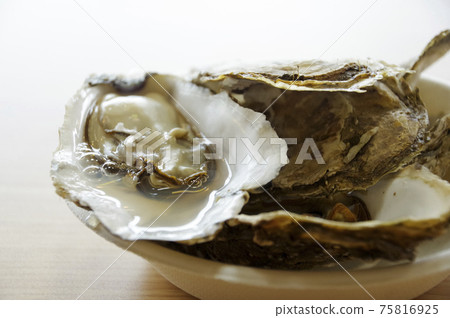 使用在Akkeshi湖收穫的牡蠣做飯 使用在Akkeshi湖收穫的牡蠣做飯 75816925