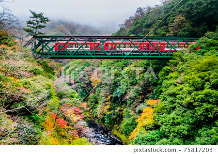 Hakone Tozan Railway, Kanagawa Prefecture Hayakawa Bridge in autumn colors Hakone Tozan Railway, Kanagawa Prefecture Hayakawa Bridge in autumn colors 75817203