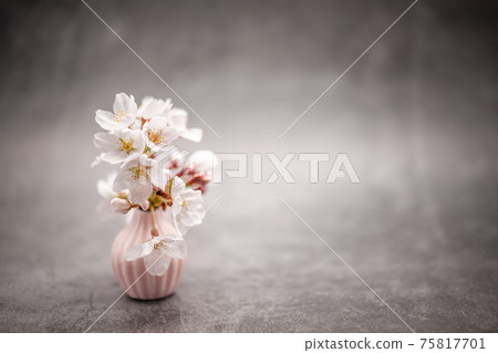 Spring smell 75817701