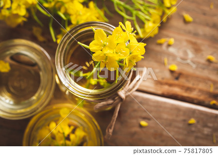 Image material of cooking oil, rapeseed oil, and salad oil 75817805
