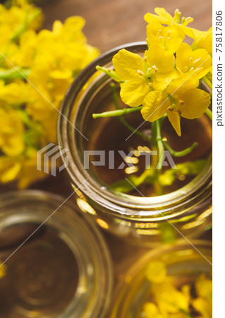 Image material of cooking oil, rapeseed oil, and salad oil 75817806