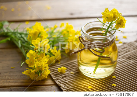 Image material of cooking oil, rapeseed oil, and salad oil 75817807