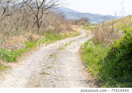 Dirt / dirt road, country road 75819484