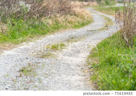 Dirt / dirt road, country road 75819485