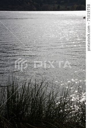 映照池的寧靜湖面在背光中 映照池的寧靜湖面在背光中 75819738