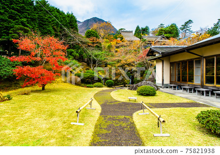 Hakone Museum of Autumn Leaves, Kanagawa Prefecture Nikkoden Front Garden Hakone Museum of Autumn Leaves, Kanagawa Prefecture Nikkoden Front Garden 75821938