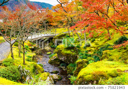 Hakone Museum of Autumn Leaves, Kanagawa Prefecture Moss Garden Hakone Museum of Autumn Leaves, Kanagawa Prefecture Moss Garden 75821943