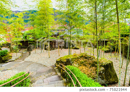 Hakone Museum of Photography in Autumn Leaves, Kanagawa Prefecture Takeniwa 75821944