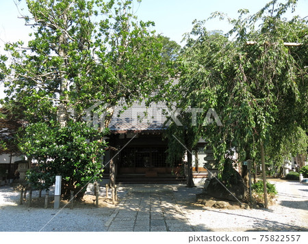 Nagareyama的Kamiyokoin(主要寺廟) Nagareyama的Kamiyokoin(主要寺廟) 75822557