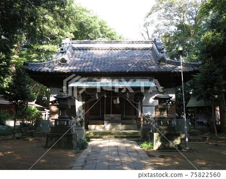 Akagi Shrine in Nagareyama city 75822560