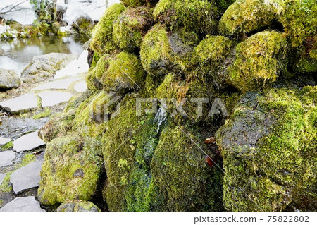 京極町福橋公園的泉水之一 75822802