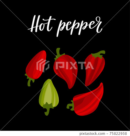 Fresh hot pepper vegetable. Healthy nutrition product. Fresh hot pepper vegetable. Healthy nutrition product. 75822938