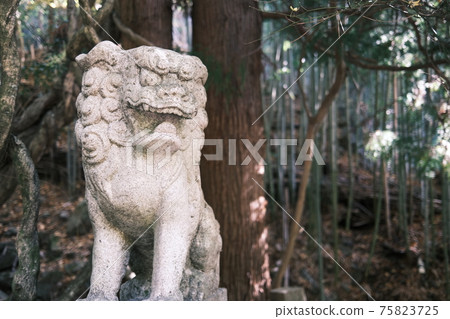 尾崎神社的守護犬 尾崎神社的守護犬 75823725