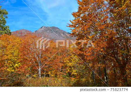 Amakazari Mountain Amakazari Plateau Autumn Leaves Amakazariyama Campsite Amakazari Mountain Amakazari Plateau Autumn Leaves Amakazariyama Campsite 75823774