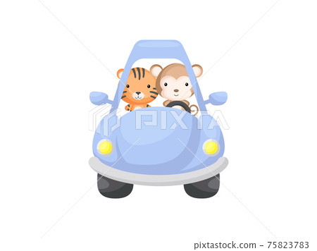 Cute little tiger and monkey driving blue car. Cartoon character for childrens book, album, baby shower, greeting card, party invitation, house interior. Vector stock illustration. Cute little tiger and monkey driving blue car. Cartoon character for childrens book, album, baby shower, greeting card, party invitation, house interior. Vector stock illustration. 75823783
