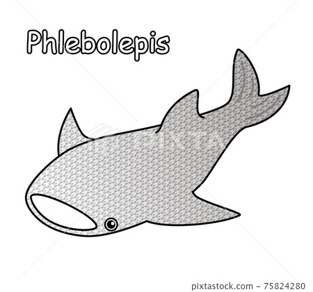 古老的魚Phlebolepis無鰭魚圖矢量類似於鯨鯊 古老的魚Phlebolepis無鰭魚圖矢量類似於鯨鯊 75824280
