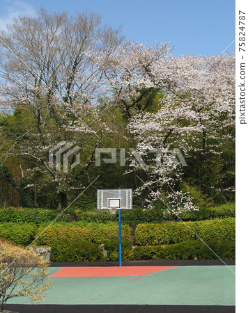 Takeno Kiba Park（長崎縣大村市） 75824787