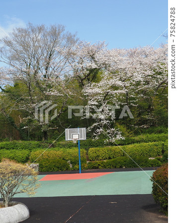 Takeno Kiba Park（長崎縣大村市） 75824788