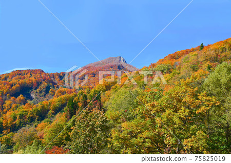 Amakazarikogen，Amakazari山，秋葉，Otari村 75825019