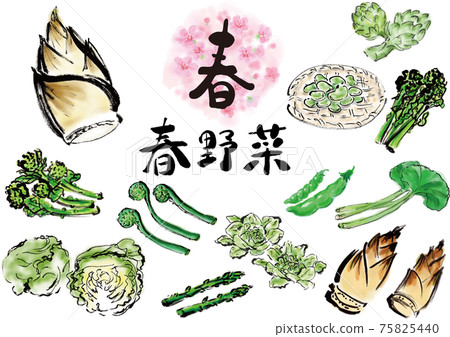 Spring vegetable set hand-painted Spring vegetable set hand-painted 75825440