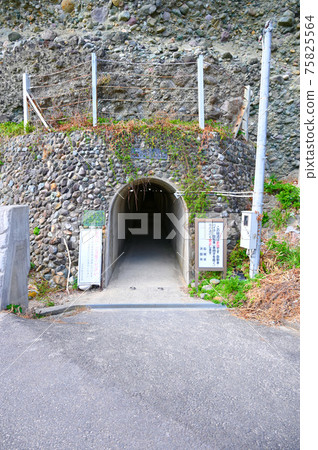 岩見榻榻米浦入口海鮮崖濱田市 岩見榻榻米浦入口海鮮崖濱田市 75825564