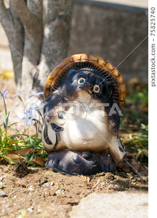 Shigaraki raccoon dog placed in the garden Shigaraki raccoon dog placed in the garden 75825740