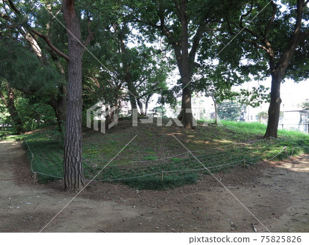 日光精機第二號丘在阿比科市的阿比科科芬公園 日光精機第二號丘在阿比科市的阿比科科芬公園 75825826