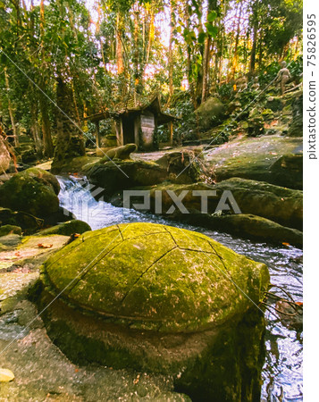 Secret Buddha Magic Garden in koh Samui, Thailand 75826595